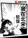 我在北宋吃软饭